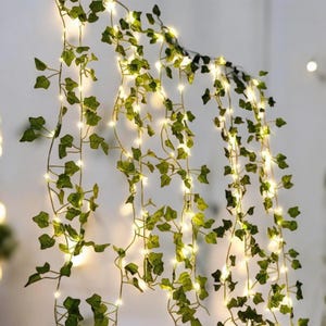 Op de afbeelding: Een decoratieve lichtslinger met groene klimopbladeren. De kleine, warmwitte lampjes creëren een zachte gloed. De klimop is heldergroen en voegt een natuurlijk tintje toe. Perfect om sfeer toe te voegen aan elke ruimte.