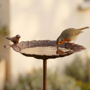 Peut inclure: Un abreuvoir décoratif en bronze, avec une cuvette en forme de feuille remplie d'eau. Une petite figurine d'oiseau est posée sur le bord, tandis qu'un rouge-gorge boit de l'eau. L'abreuvoir est monté sur un poteau fin.
