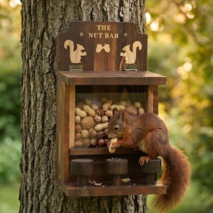 Può includere: Un alimentatore per scoiattoli in legno con la scritta "THE NUT BAR" e sagome di scoiattoli. L'alimentatore è pieno di noci e uno scoiattolo rosso sta mangiando una arachide. L'alimentatore è attaccato a un tronco d'albero.