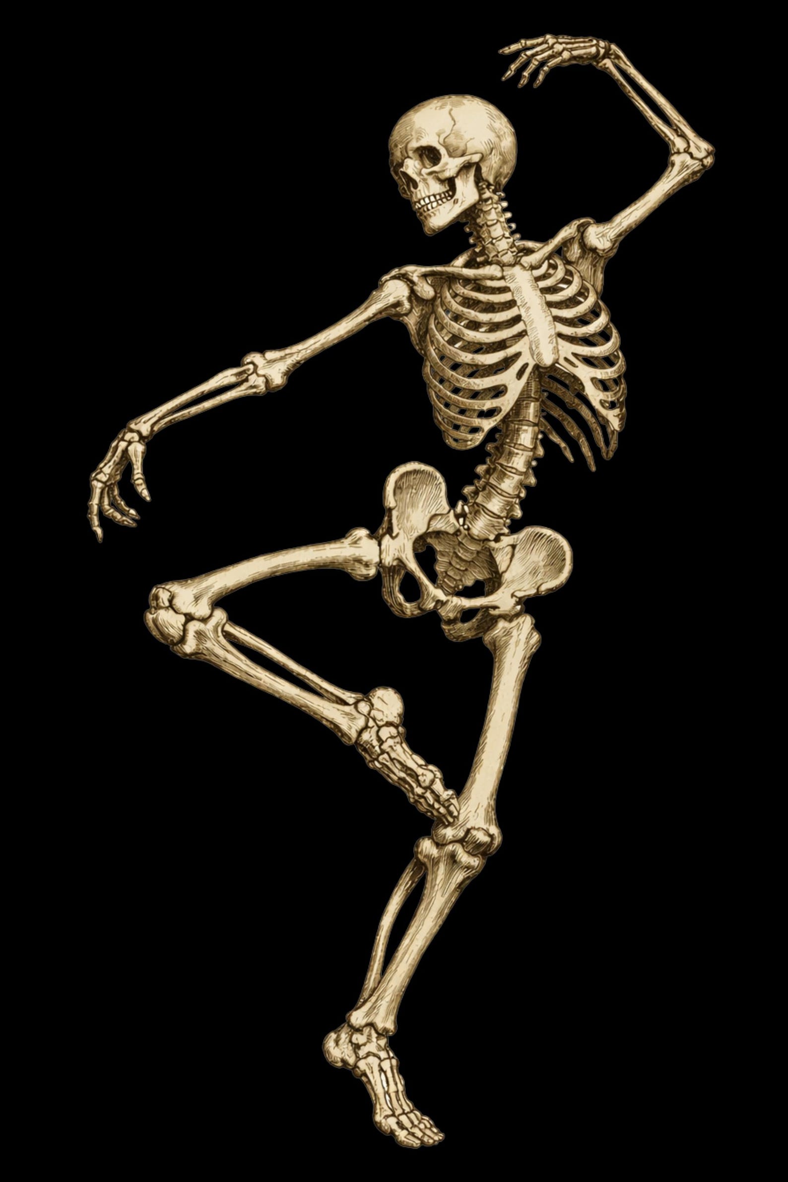 Dancing Skeleton Anatomical Illustration 1 – Gray’s Anatomy Style Print ...