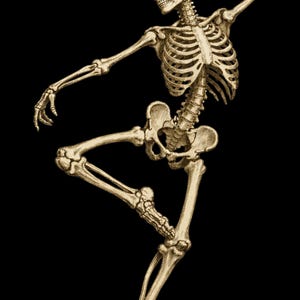 May include: An anatomical illustration of a human skeleton in a dancing pose. The skeleton is depicted in a sepia tone against a black background, with the bones clearly defined and articulated. The figure is mid-movement, with one leg extended and arms raised.