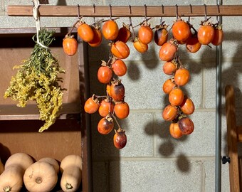 Persimmon 101: Einführung in Diospyros