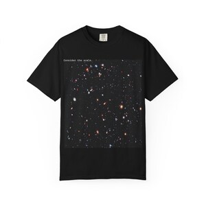 May include: Black t-shirt featuring a rectangular graphic of a deep space image with numerous stars and galaxies. The text "Consider the scale." is above the graphic. The shirt has a crew neck and short sleeves.