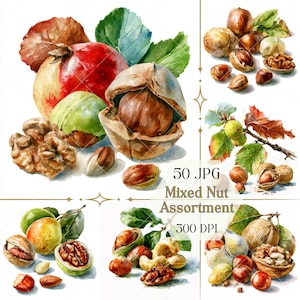 Watercolor Nuts Clipart JPG, Mixed Nut Assortment Illustration, Almond Walnut Pistachio Food Art Download