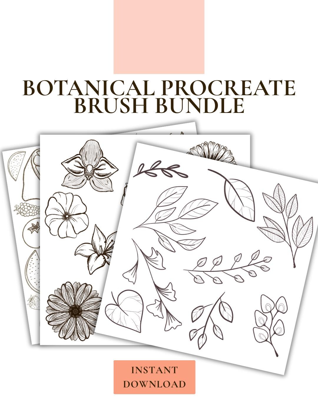 Botanical Procreate Brush Bundle | Leaves, Florals, Fruit Stamp Brushes ...
