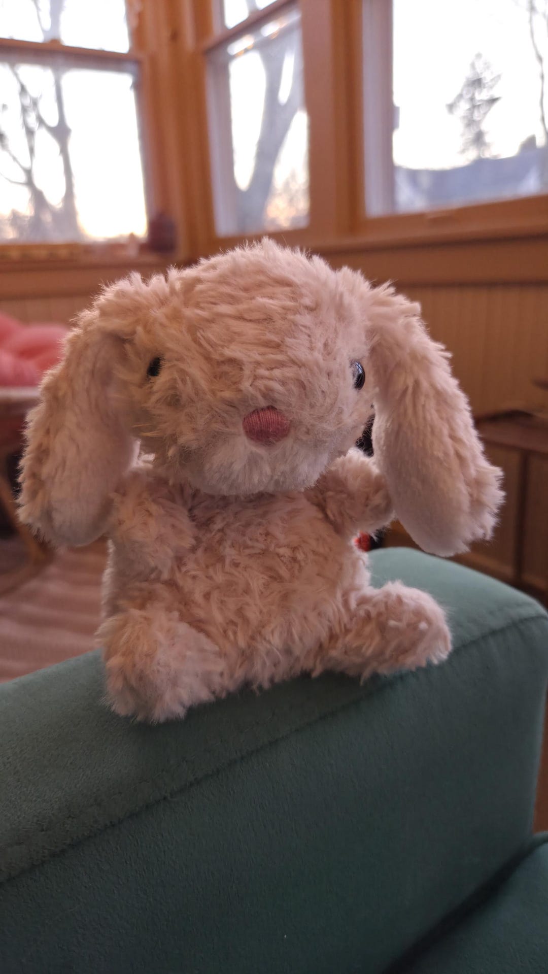 Jellycat Rabbit Decor Jellycat Bashful Bunny Plush – Cream Floppy Ear Rabbit, Cottage Nursery ...