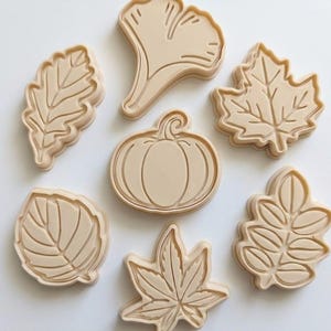 Könnte beinhalten: Ein Set aus sieben beigefarbenen Ausstechformen in verschiedenen Motiven, darunter ein zentraler Kürbis, ein Ginkgoblatt, ein Ahornblatt und vier weitere Blattdesigns, alle mit geprägten Innenlinien für detaillierte Abdrücke im Teig.