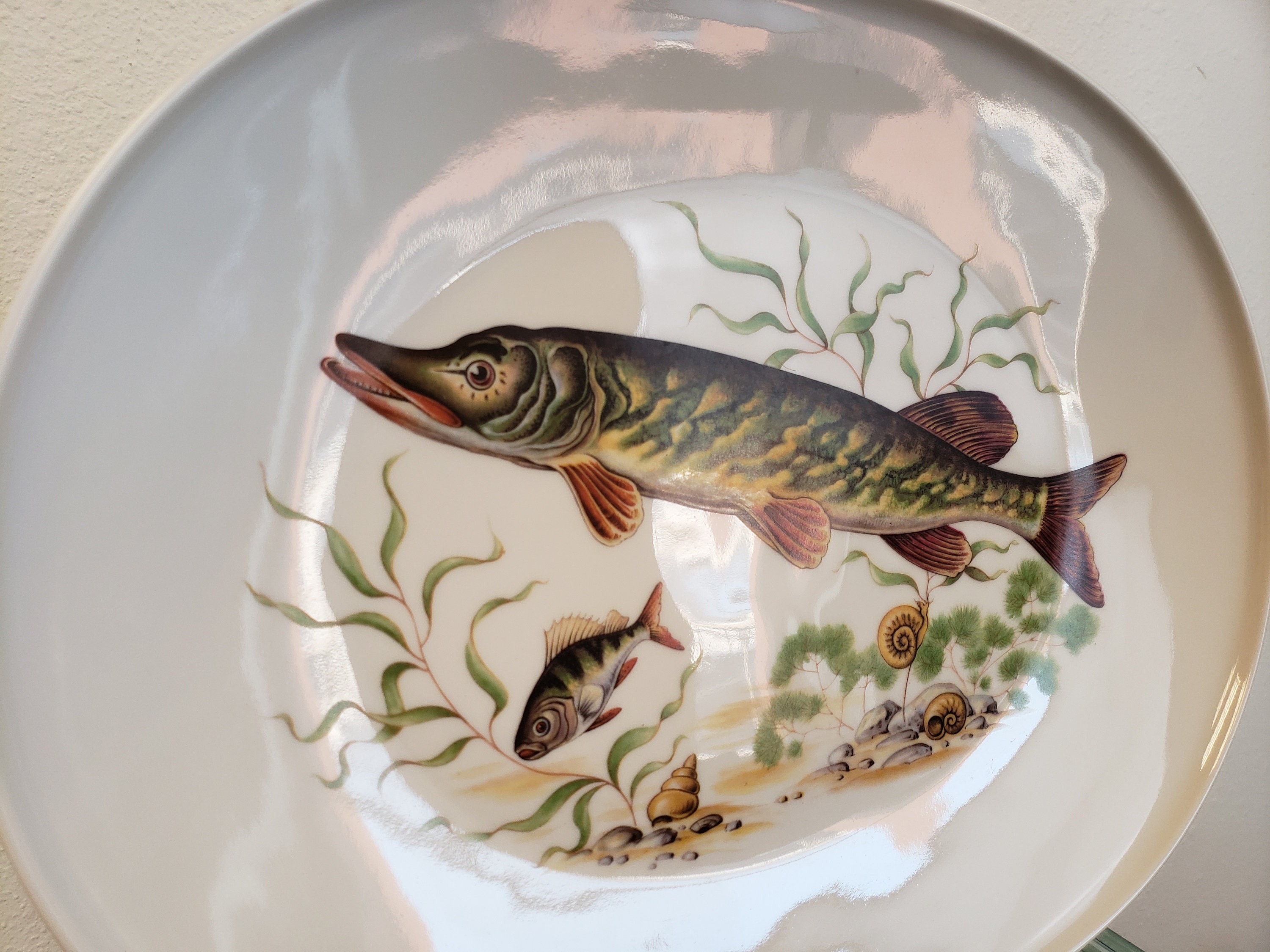 食器 Gustavsberg Fish plate  all color 食器 Gustavsberg Fish plate all color 食器 Gustavsberg Fish plate