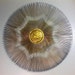 Owner of <a href='https://www.etsy.com/shop/vintagesouthwest?ref=l2-about-shopname&from_page=listing' class='wt-text-link'>vintagesouthwest</a>