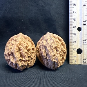 May include: Two whole walnuts with textured, light brown shells positioned next to a wooden ruler. The ruler shows the walnuts are approximately 4 cm in height, with the scale markings clearly visible along the side of the objects.