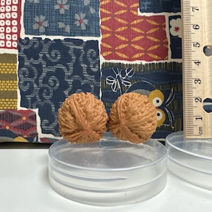 May include: Two brown, textured walnut-shaped objects resting on a clear circular plastic base. A wooden ruler is positioned vertically to the right, showing the objects measure approximately 1 inch in height against the metric scale.