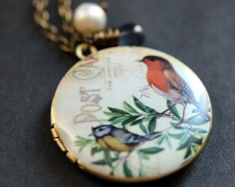 Bird Necklace. Robin and Blue BIrd Locket Necklace. Bronze Necklace with Dark Blue Teardrop and Pearl. Bronze Locket. Handmade Jewelry.