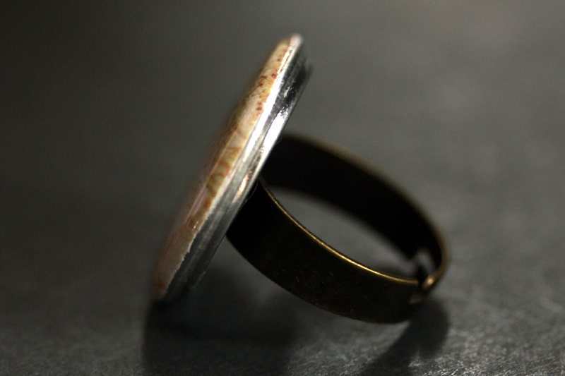Seashell Ring. Conch Shell Ring. Nature Ring. Sea Shell Ring. Beach ...