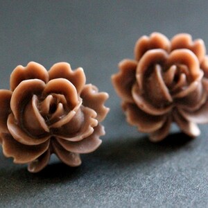 May include: A pair of brown rose-shaped earrings. The earrings are made of a smooth, plastic-like material.
