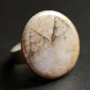 Brown - Handcrafted Seashell Ring (Adjustable) 16