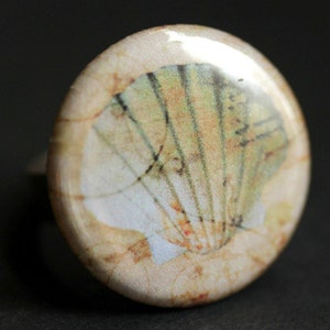 May include: A round, cream-colored ring with a detailed image of a seashell. The shell is a light green and white color with brown and orange accents.