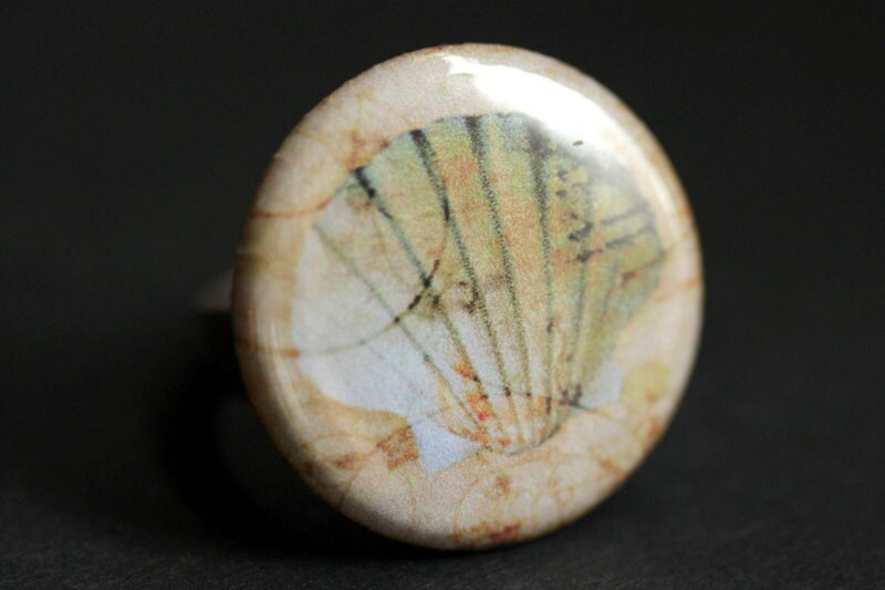 Clam Shell Ring. Sea Shell Ring. Beach Ring. Seashell Ring. Graphic ...
