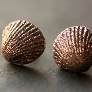 Metallic Seashell Earrings. Clam Shell Earrings. Bronze Post Earrings. Beach Earrings. Sea Shell Earrings. Stud Earrings. Handmade Jewelry. image 1