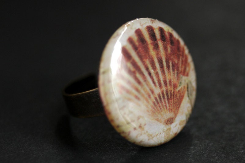 Seashell Ring. Beach Ring. Scallop Shell Ring. Graphic Button Ring. Sea ...