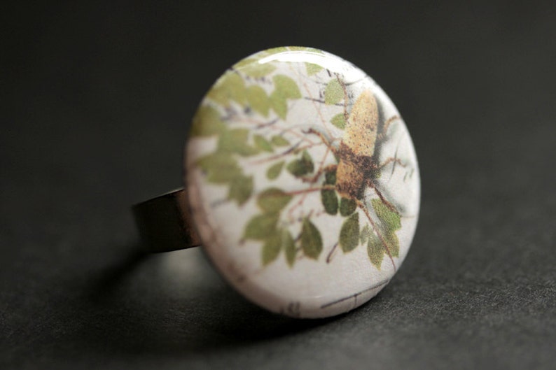 Beetle Ring. Bug Ring. Nature Ring. Insect Ring. Entomology Ring ...