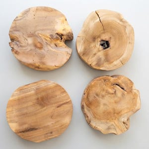 May include: Four circular wooden coasters made from natural tree slices. Each piece displays a unique light brown wood grain, organic edges, and distinct knots. One coaster features a small central hole, while another has a side notch.