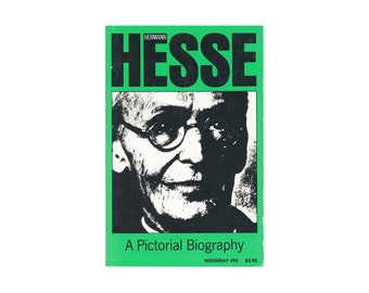 Hermann Hesse: A Pictorial Biography by Volker Michels / vintage Noonday paperback book