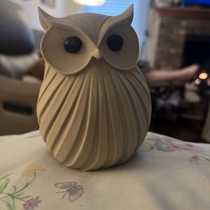 Könnte beinhalten: Eine beige Eulenfigur mit schwarzen Augen. Die Eule hat einen strukturierten, gerippten Körper und spitze Ohren. Die Figur steht auf einer Oberfläche mit floralem Muster.