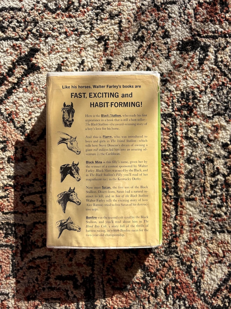Op de afbeelding: Een vintage paperback boek, "The Black Stallion" van Walter Farley. De achterkant toont paardenillustraties en tekst die de serie aanprijst als "Fast, Exciting and Habit Forming!"