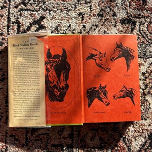 Op de afbeelding: Een open boek met een feloranje binnenkant, met zwarte paardenillustraties en de titel "The Black Stallion Revolts" van Walter Farley. De kaft van het boek is zichtbaar en toont tekst en een prijskaartje.