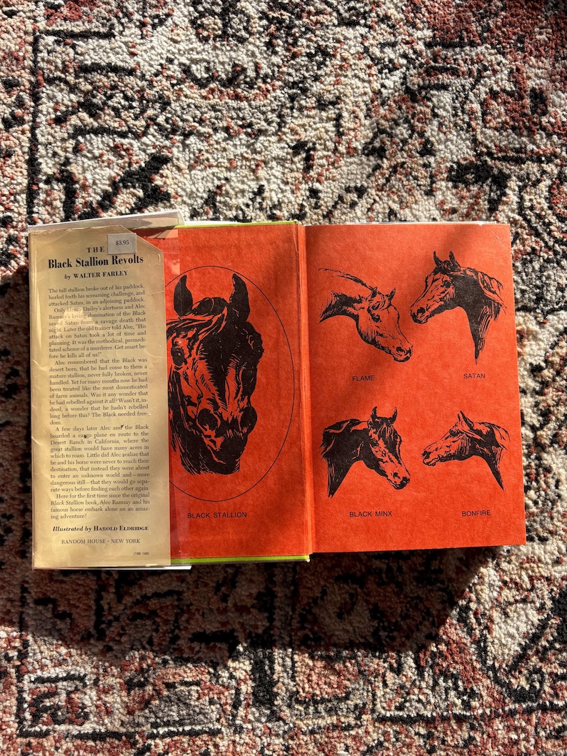 Op de afbeelding: Een open boek met een feloranje binnenkant, met zwarte paardenillustraties en de titel "The Black Stallion Revolts" van Walter Farley. De kaft van het boek is zichtbaar en toont tekst en een prijskaartje.