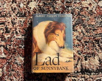 1929 Lad of Sunnybank Suspected First Edition with Dust Jacket | by Albert Payson Terhune | Vintage Collectible Dog Book