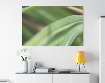 serene room Decor Abstract Green Leaf Close-Up Canvas