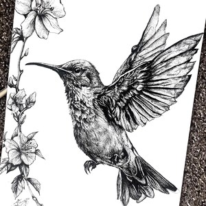 May include: Detailed black and white illustration of a hummingbird in flight, wings spread. The bird is depicted with intricate feather details. Flowers and foliage are drawn to the left of the hummingbird, adding a natural element to the artwork.
