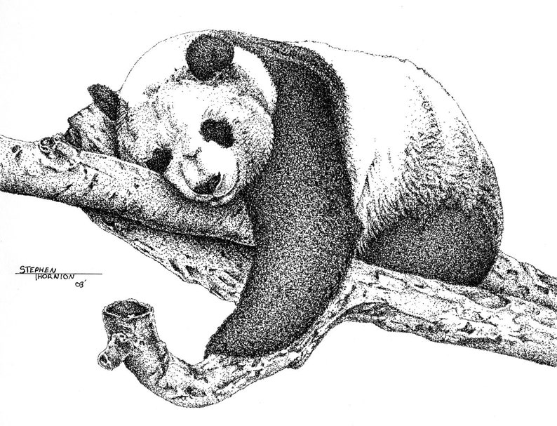 Рисунок спящей панды