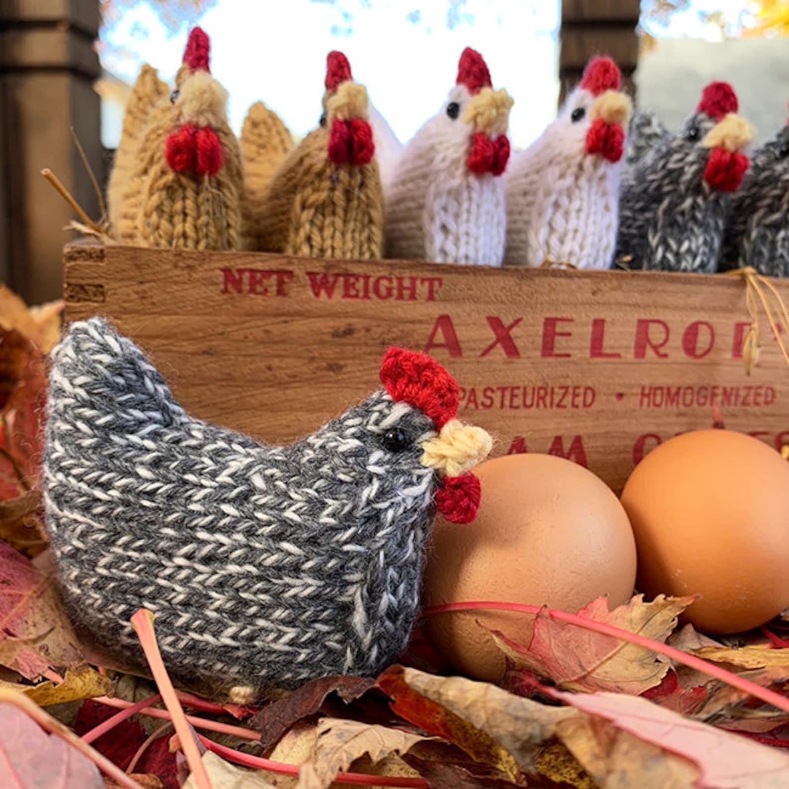 Chicken Knitting PATTERN PDF Knit Hen Knit Chicken Ornament Etsy