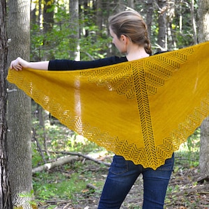 Shawl Knitting PATTERN PDF, Knit Shawl, Knitted Shawl Pattern - Burning Leaves Shawl