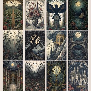 Gothic fantasy journal pages showing moonlit forests, arched stone bridges, winding paths, ravens in flight, gothic castles, and romantic nocturnal scenery with antique ink textures.