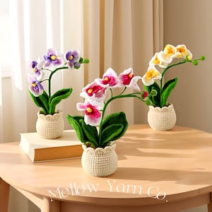 Könnte beinhalten: Drei gehäkelte Orchideen in cremefarbenen Töpfen stehen auf einem Holztisch. Die Orchideen haben weiße, rosa, lila und gelbe Blüten mit grünen Blättern. Die Töpfe haben ein strukturiertes Design, und der Text "Mellow Yarn Co." ist sichtbar.