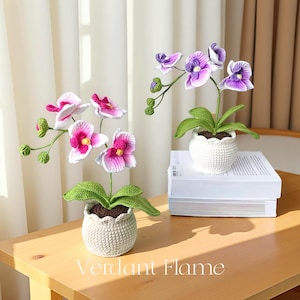 Puede incluir: Dos plantas de orquídeas de ganchillo en macetas blancas sobre una mesa de madera. Las orquídeas tienen pétalos rosas y morados con hojas verdes. El texto "Verdant Flame" está en la parte inferior de la imagen.