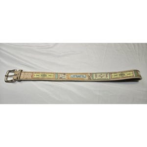 Vintage Fossil Canvas- och Metalllappsbälte Y2K Boho Blommigt 43" Hippie Dam