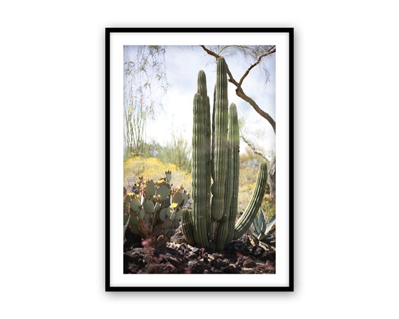 Digital Cactus Desert Printable Wall Art Plant Printable | Etsy