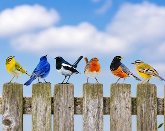 6 Pcs Colorful Metal Bird Fence Decorations, Double Sided Outdoor Garden Bird Wall Art, Rustic Yard Decor