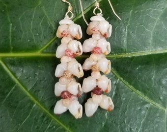 Shell Earrings Kauai Kahelelani Shell Earrings Hawaiian Momi Shell Earrings Momi Shells Kahelelani Shells Kauai Momi Beach Shells Rare Shell