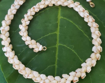 Shell Necklace Kauai Momi Shell Lei Momi Necklace Rare Momi Shell Necklace Traditional Hawaiian Jewelry Shell Jewelry Momi Shell Lei