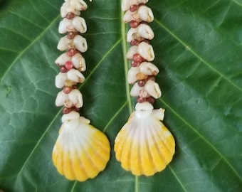 Sunrise Shell Earrings Kahelelani Shell Earrings Hawaiian Momi Shell Earrings Momi Shell Kahelelani Shells Kauai Momi Langford Pectin Shell