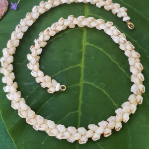 Kauai Momi Shell Lei Necklace: Traditional Hawaiian Jewelry