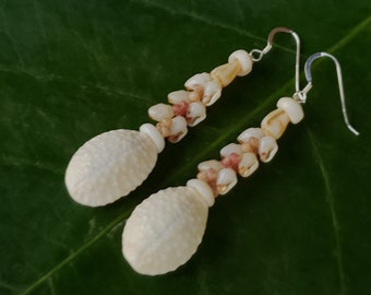 Momi Shell Earrings Kauai Granulate Cowry Shells Hawaiian Momi Shell Earrings Momi Shells Kahelelani Shells Kauai Beach Shell Hawaiian Shell