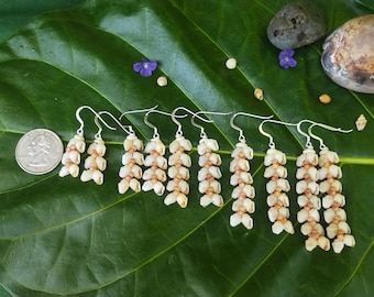 Shell Earrings Kauai Shell Earrings Hawaiian Shell Earrings Rare Momi Kahelelani Shells Kauai Kahelelani Shell Jewelry Momi Shell Jewelry