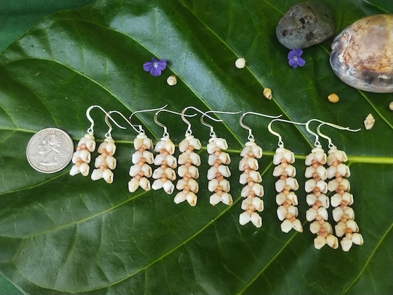 Shell Earrings Kauai Shell Earrings Hawaiian Shell Earrings Rare Momi Kahelelani Shells Kauai Kahelelani Shell Jewelry Momi Shell Jewelry