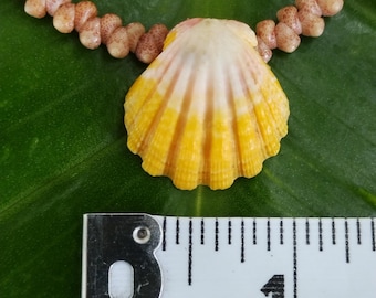 Sunrise Shell Anklet: 9.5' inch, Puka Shell Clasp, Kahelelani Shells, Natural Shell Jewelry, Hawaiian Jewelry